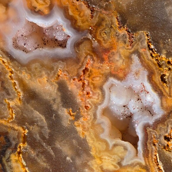 Beautiful Graveyard point Plume Agate - Picture 3 of 8
